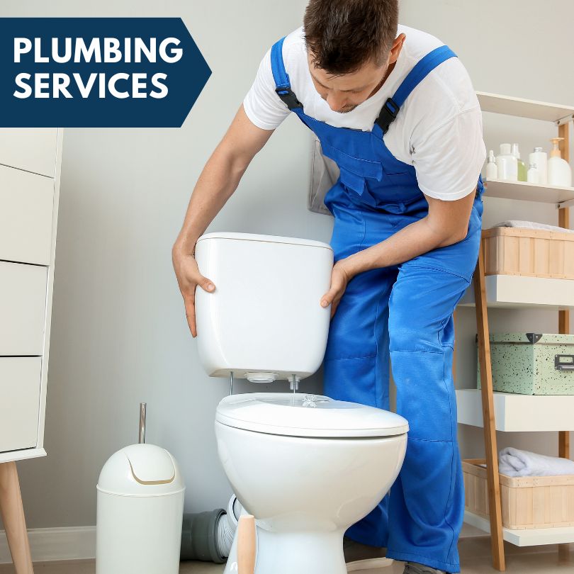 Plumbing Company in North Branch, MI